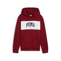 Odjeća Dječak
 Sportske majice Puma PUMA SQUAD Bordo