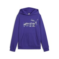 Odjeća Dječak
 Sportske majice Puma ESS+ CAMO HOODIE FL Plava