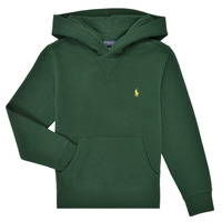 Odjeća Djeca Sportske majice Polo Ralph Lauren LS PO HOOD-TOPS-KNIT Zelena