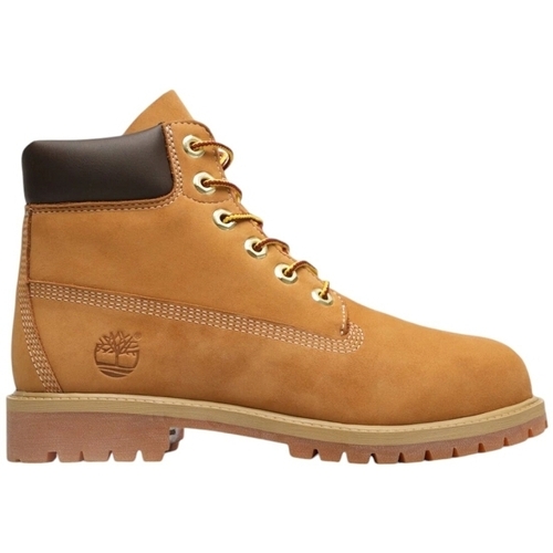 Obuća Žene
 Gležnjače Timberland PREMIUM 6 INCH LACE UP WATERPROOF Smeđa