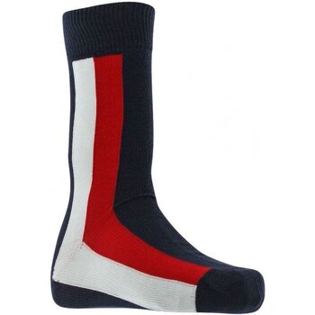 Sous-vêtements Homme Chaussettes Tommy Hilfiger Chaussettes Homme GLOBAL Bleu