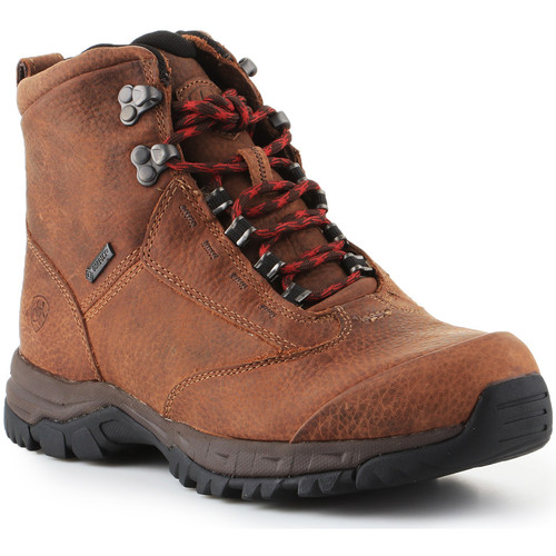 Chaussures Femme Randonnée Ariat Berwick Lace Gtx Insulated 10016229 Marron