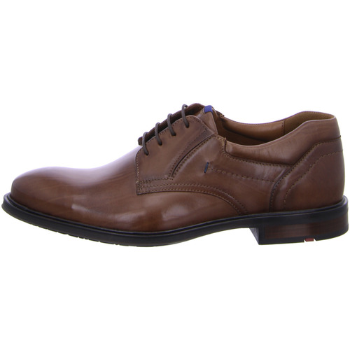 Chaussures Homme Derbies & Richelieu Lloyd  Marron