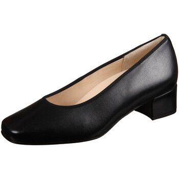 Chaussures Femme Escarpins Hassia  Noir