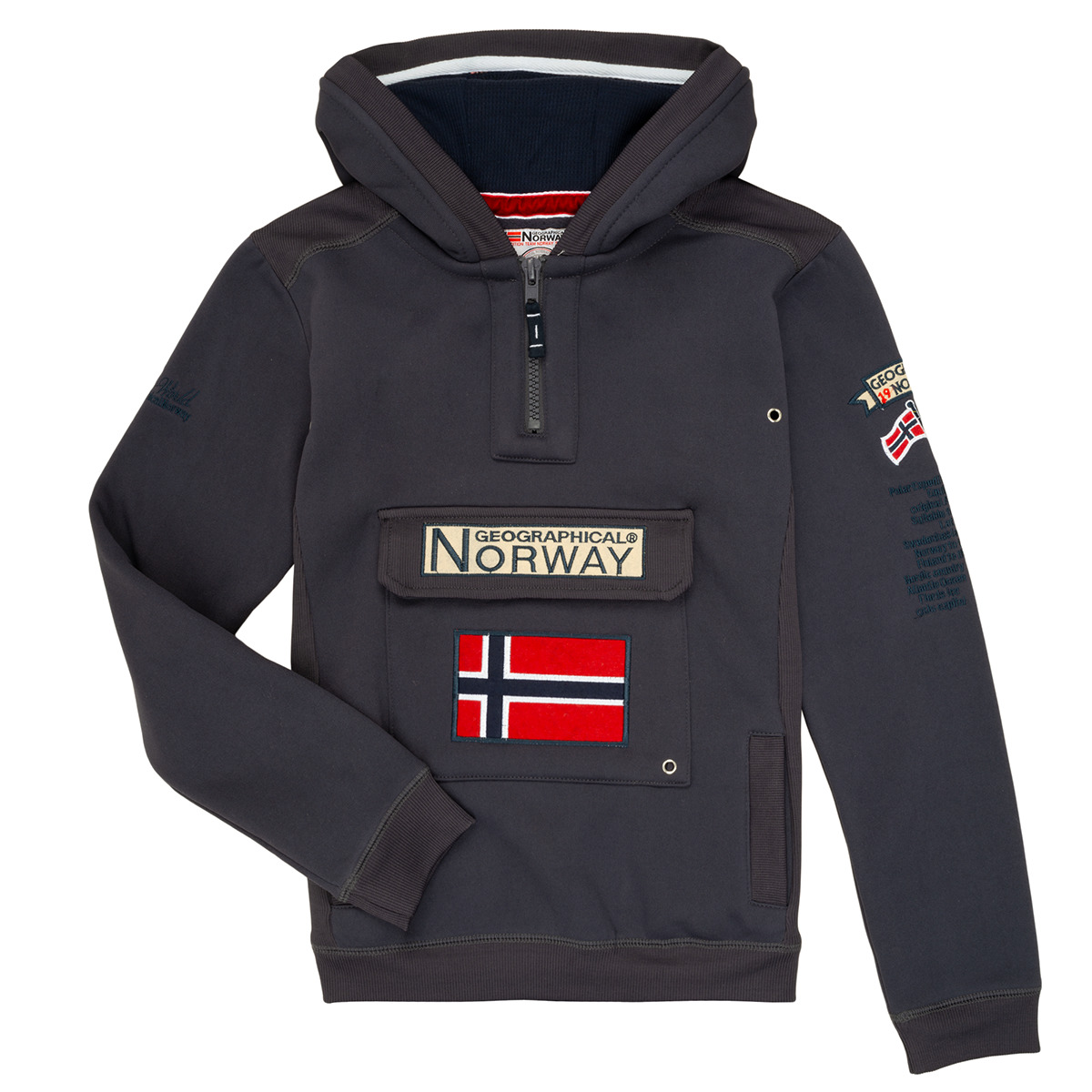 Vêtements Garçon Sweats Geographical Norway GYMCLASS Gris