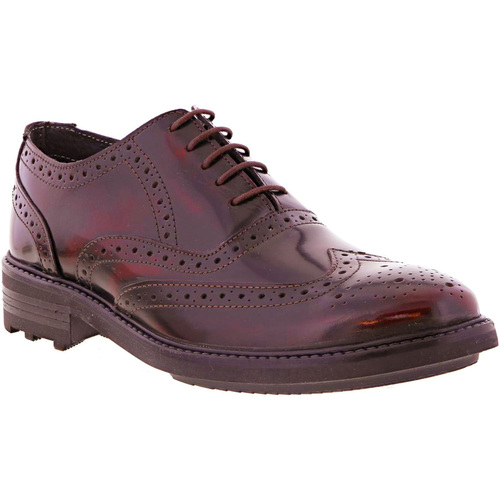 Chaussures Homme Derbies Roamers DF587 Multicolore