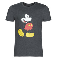 Vêtements Homme T-shirts manches courtes Yurban DISNEY MICKEY VINTAGE Gris