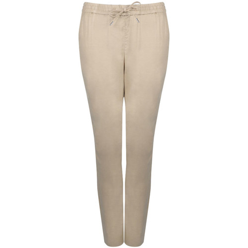 Vêtements Femme Pantalons Gant 4150076 / Summer Linen Beige