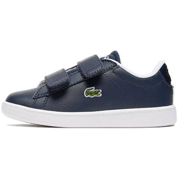 Chaussures Enfant Baskets basses Lacoste CARNABY EVO STRAP Bébé Bleu