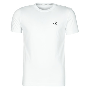 Vêtements Homme T-shirts manches courtes Calvin Klein Jeans YAF Blanc