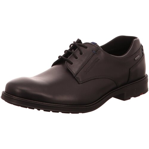 Chaussures Homme Derbies & Richelieu Lloyd  Noir