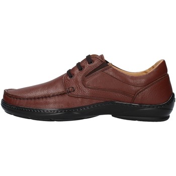 Chaussures Homme Baskets basses Melluso U47038L Marron