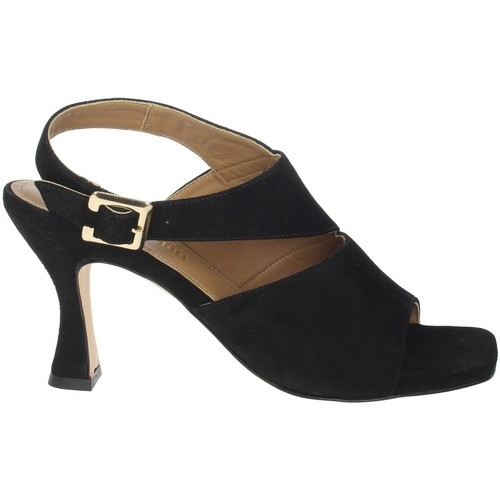 Chaussures Femme Sandales et Nu-pieds Paola Ferri D7437 Noir