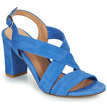 Chaussures Femme Sandales et Nu-pieds Cosmo Paris VUKO-VEL Bleu