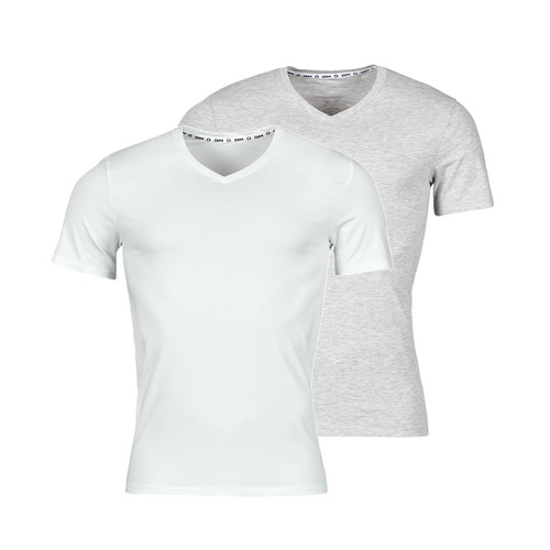 Sous-vêtements Homme Maillots de corps DIM GREEN BIO TSHIRT X2 Blanc / Gris