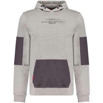 Vêtements Homme Sweats Deeluxe 117056VTAH21 Gris