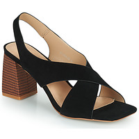 Chaussures Femme Sandales et Nu-pieds Vanessa Wu  Noir