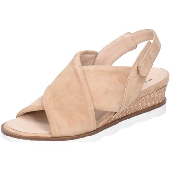 Chaussures Femme Sandales et Nu-pieds Hassia  Beige