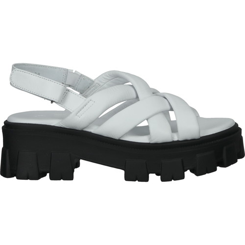 Chaussures Femme Sandales et Nu-pieds Ilc Sandales Blanc