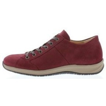 Chaussures Femme Baskets mode Hartjes SF Shoe Bordeaux