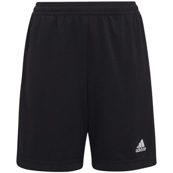 Vêtements Garçon Pantacourts adidas Originals Entrada 22 Noir