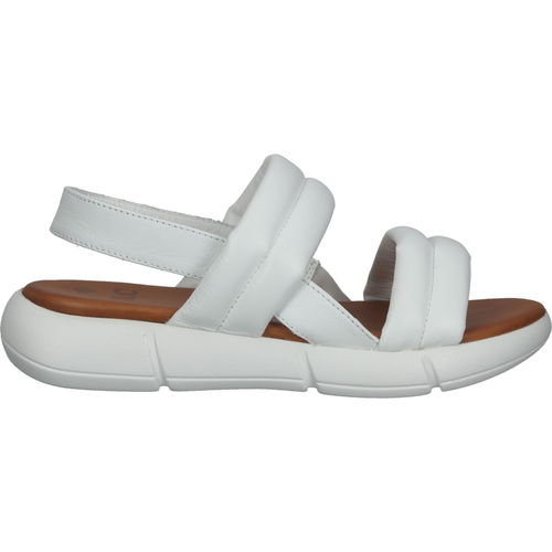 Chaussures Femme Sandales et Nu-pieds Ilc Sandales Blanc