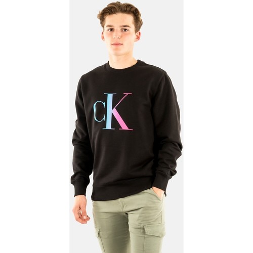 Vêtements Homme Sweats Calvin Klein Jeans j30j320903 Noir