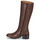 Chaussures Femme Bottes ville Betty London GESSIE Marron