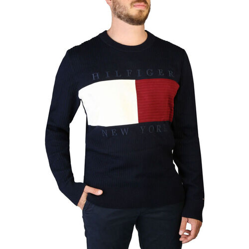 Vêtements Homme Pulls Tommy Hilfiger - mw0mw25413 Bleu