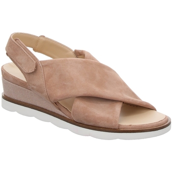 Chaussures Femme Sandales et Nu-pieds Hassia  Beige