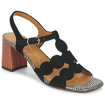 Chaussures Femme Sandales et Nu-pieds Chie Mihara LUCALA Noir