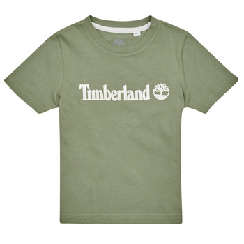 Vêtements Garçon T-shirts manches courtes Timberland T25T77-708-J Kaki