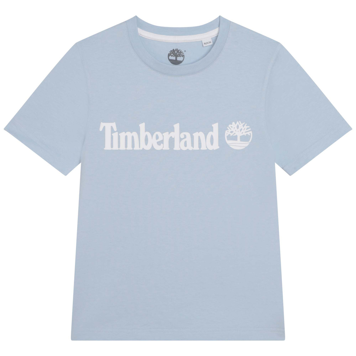 Vêtements Garçon T-shirts manches courtes Timberland T25T77-79L-J Bleu clair