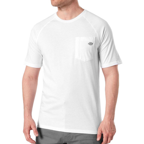 Vêtements Homme T-shirts & Polos Dickies DK0A4XUTWHX Blanc