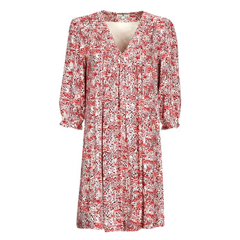 Vêtements Femme Robes courtes Freeman T.Porter JUNA TAWNY Multicolore