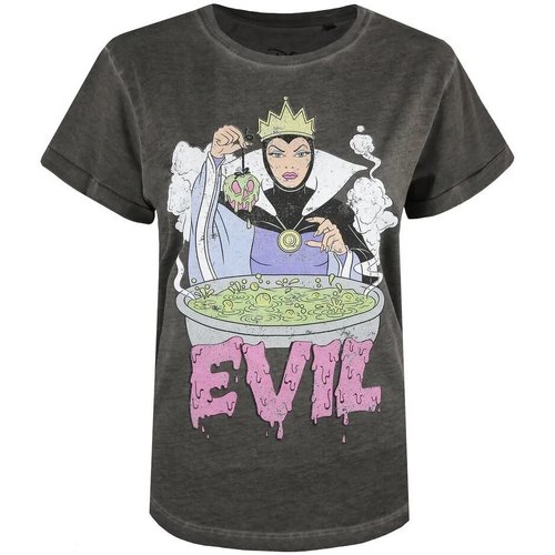 Vêtements Femme T-shirts manches longues Snow White And The Seven Dwarfs TV840 Gris