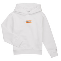 Vêtements Garçon Sweats Calvin Klein Jeans MINI BLOCK LOGO HOODIE Blanc