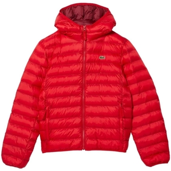 Vêtements Homme Blousons Lacoste Blouson court homme  Ref 57993 240 Rouge Rouge