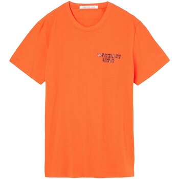 Vêtements Homme T-shirts manches courtes Calvin Klein Jeans J30J321772 Orange