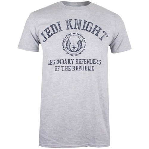 Vêtements Homme T-shirts manches longues Disney Legendary Defenders Of The Republic Gris