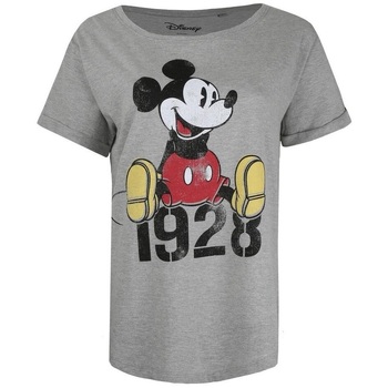 Vêtements Femme T-shirts manches longues Disney TV1666 Gris