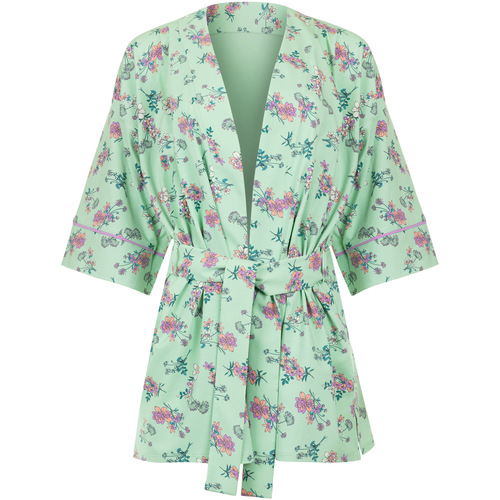 Vêtements Femme Pyjamas / Chemises de nuit Lisca Déshabillé Posh  Cheek Vert