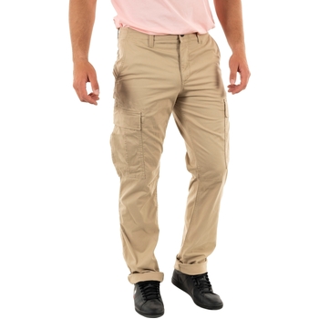 Vêtements Homme Pantalons Timberland a2czh Beige