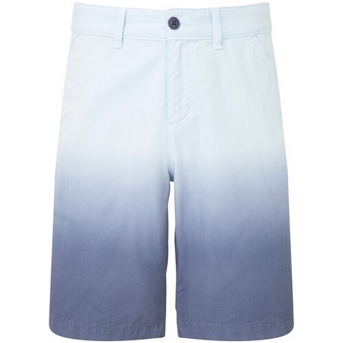 Vêtements Homme Shorts / Bermudas The Wombats WB904 Bleu