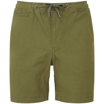 Vêtements Homme Shorts / Bermudas The Wombats WB902 Vert