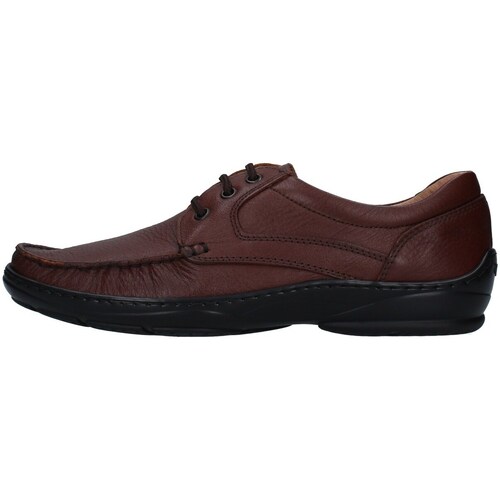 Chaussures Homme Derbies Melluso U47038D Marron