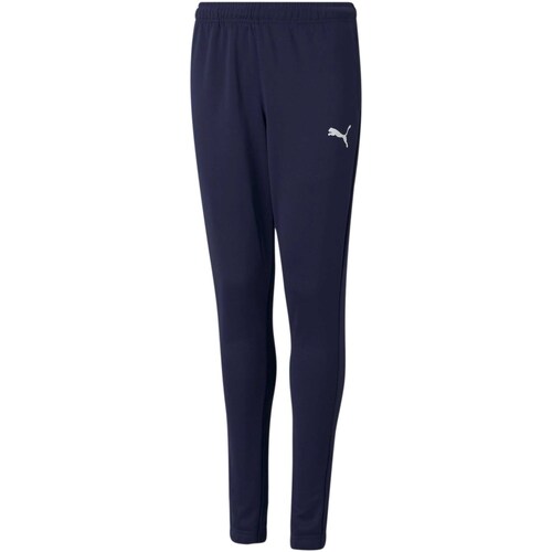 Vêtements Garçon Pantalons Puma Teamrise Poly Training Pants Jr Bleu