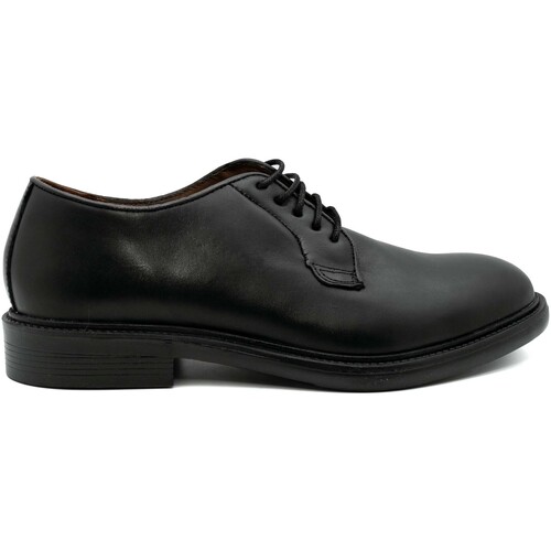 Chaussures Homme Derbies & Richelieu Melluso Scarpe Eleganti  Nero Noir