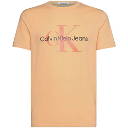 Vêtements Homme T-shirts manches courtes Calvin Klein Jeans Slim Logo Orange