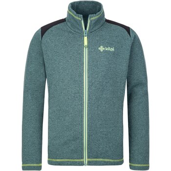 Vêtements Pulls Kilpi Pull polaire zippé garçon  REGIN-JB Vert